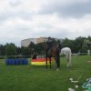 IMG_7489